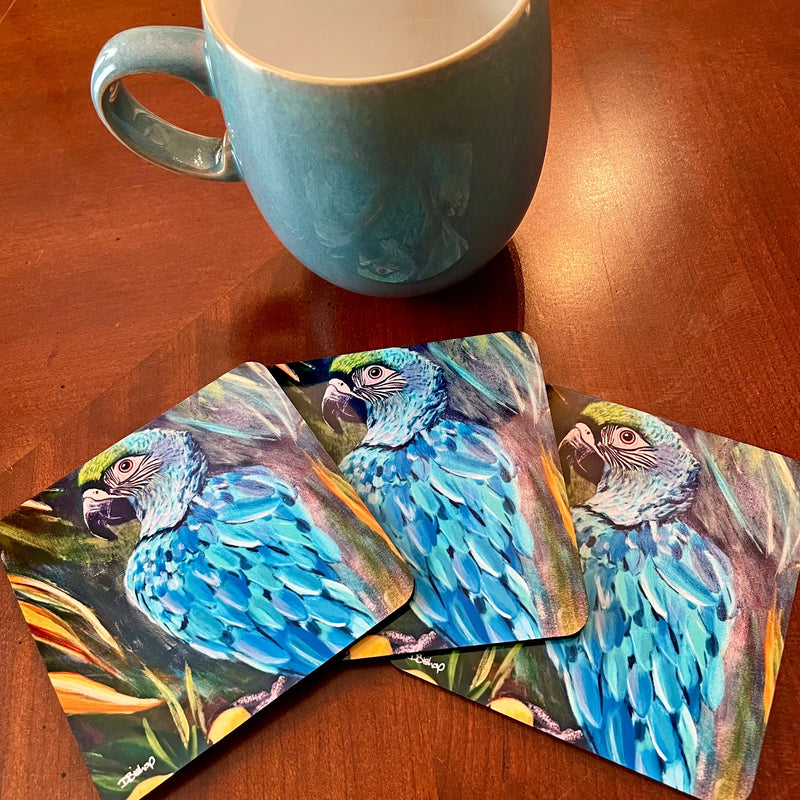 Macaw Parrot Merchandise