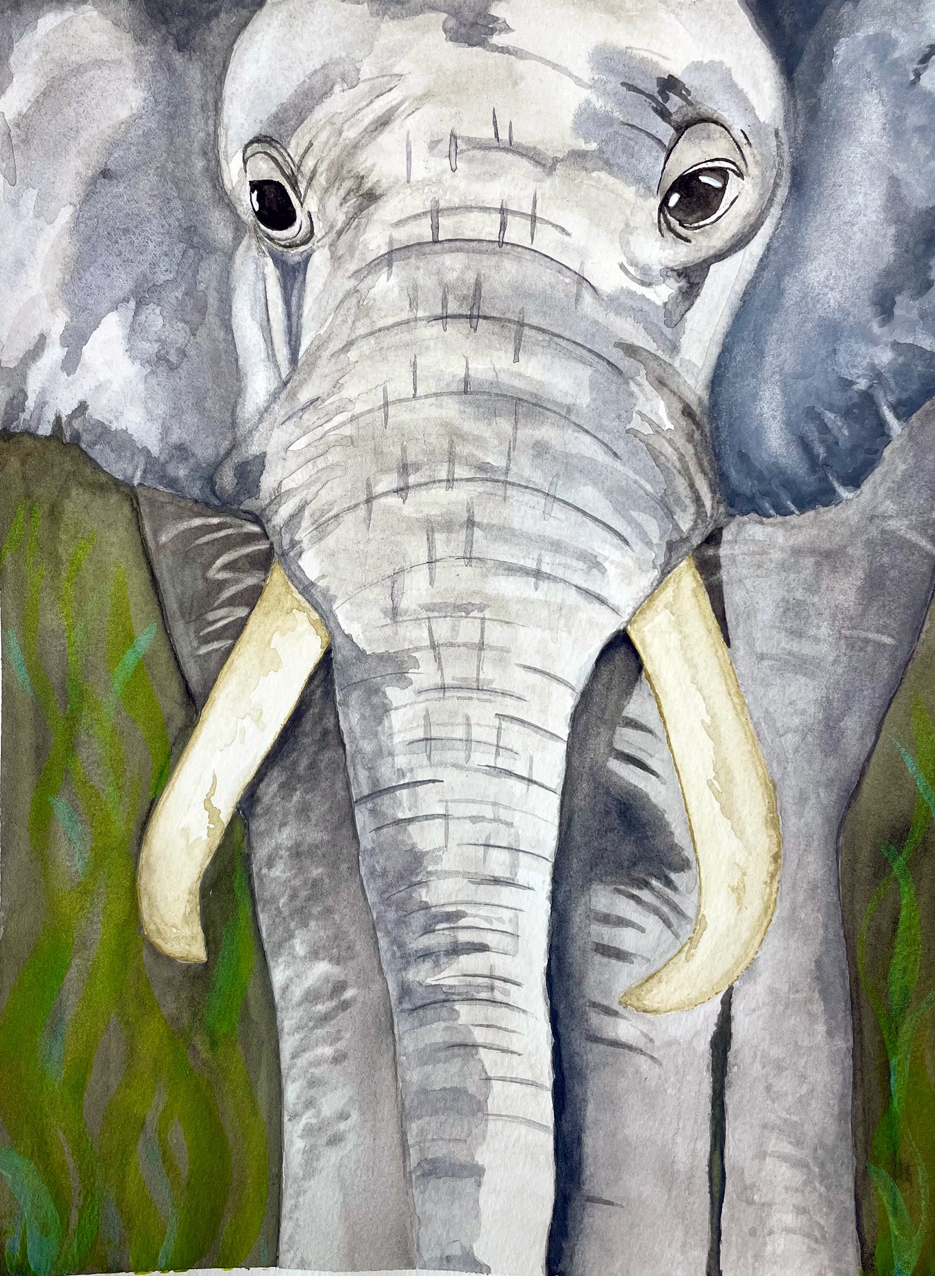 Elephant With Tusks Print
