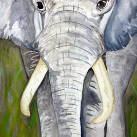 Elephant With Tusks Print