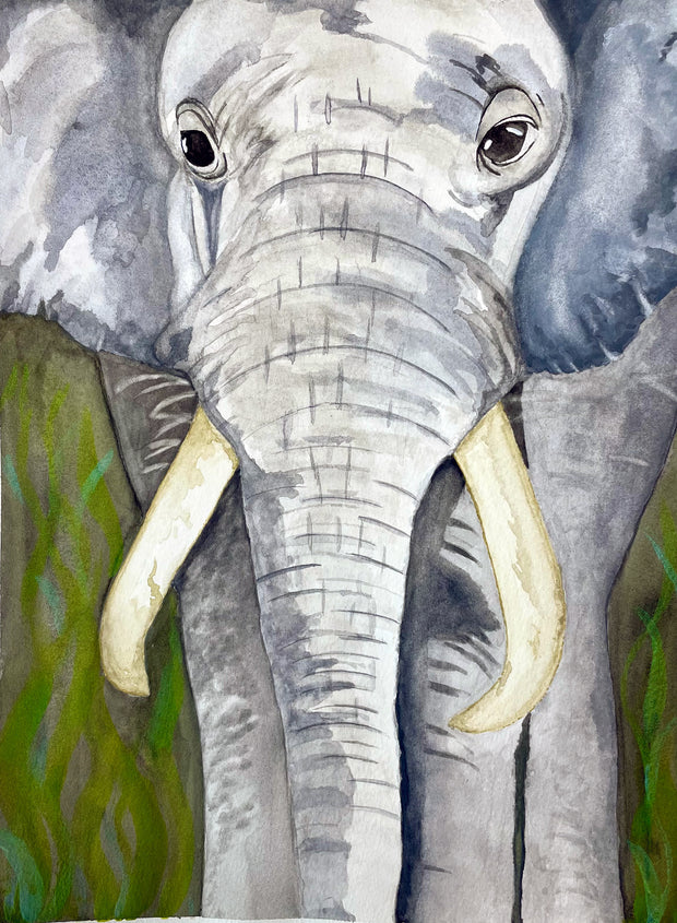 Elephant With Tusks Print
