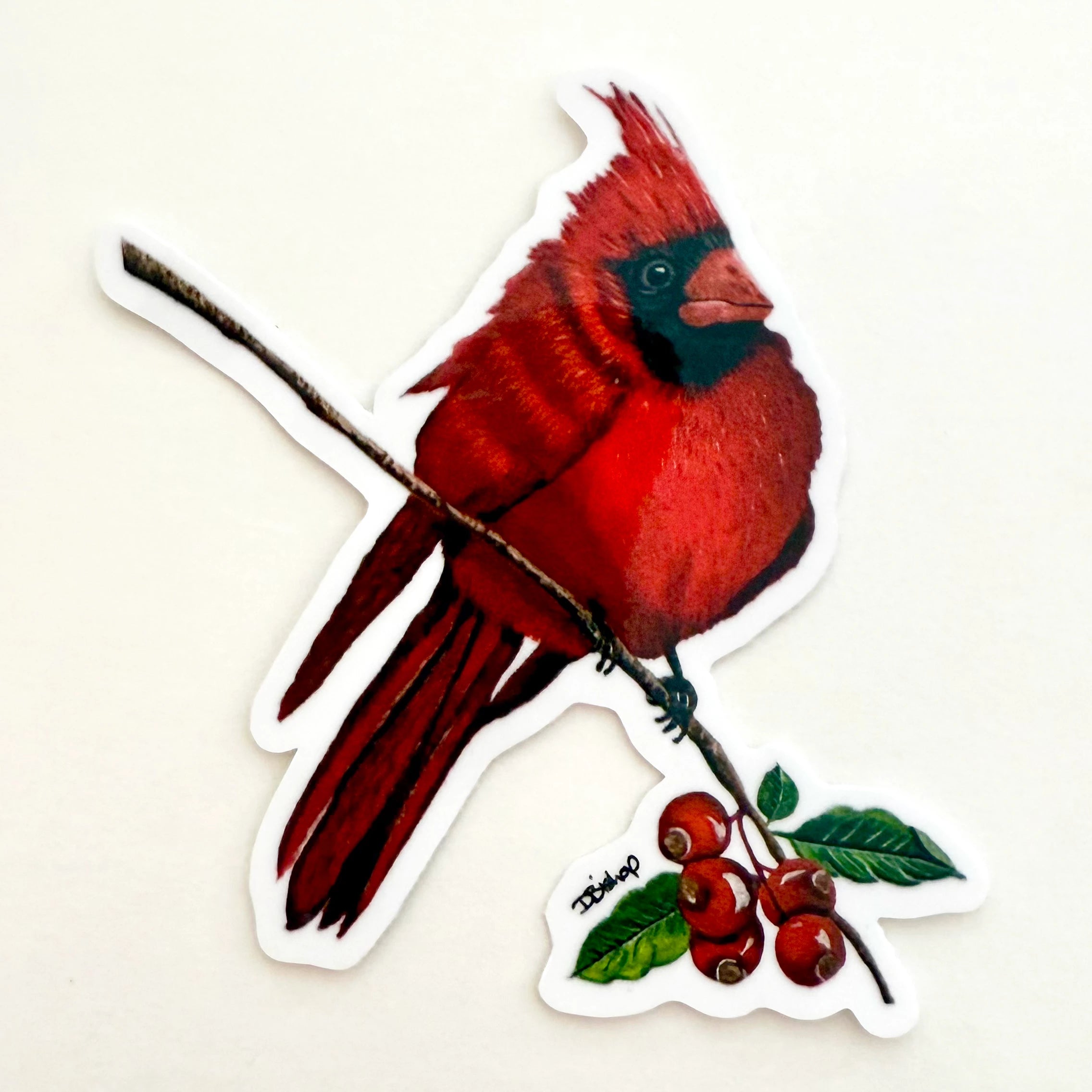 Cardinal Merchandise