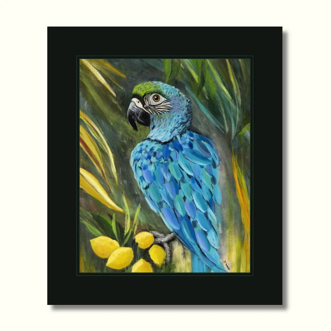 Macaw Parrot Print