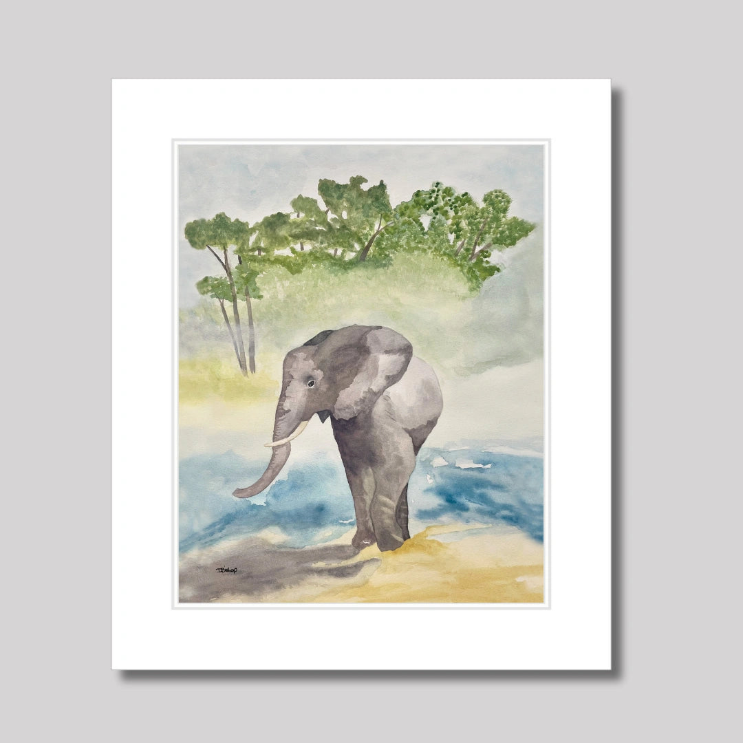 Wanda’s Elephant Print