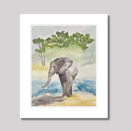 Wanda’s Elephant Print