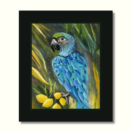Macaw Parrot Print