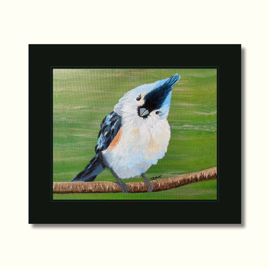 Blue Titmouse Print