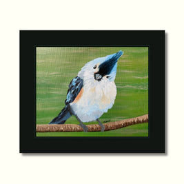 Blue Titmouse Print