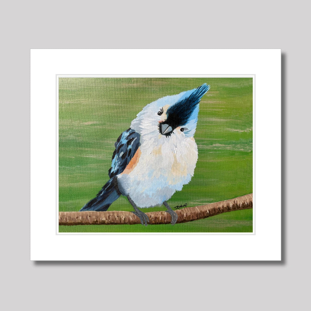 Blue Titmouse Print