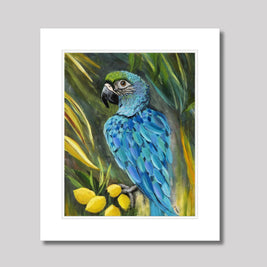 Macaw Parrot Print