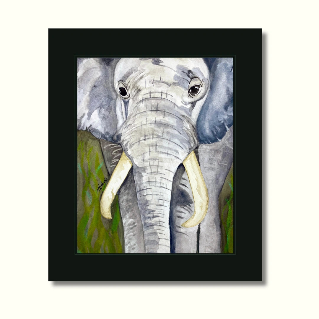 Elephant With Tusks Print