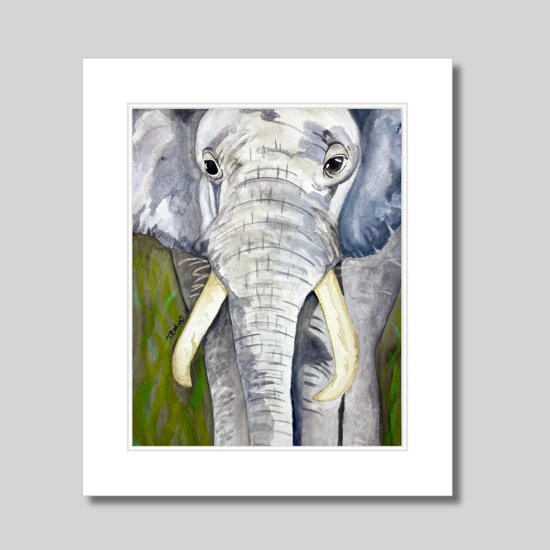 Elephant With Tusks Print