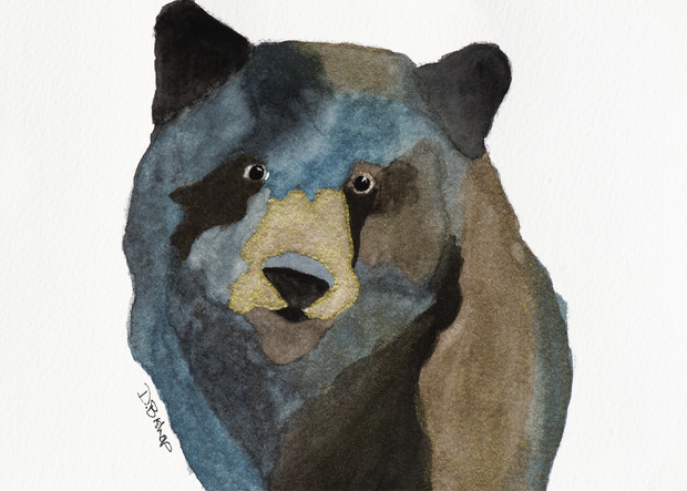 Grizzly Bear Original Painting