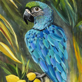 Macaw Parrot Print