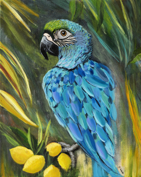 Macaw Parrot Print