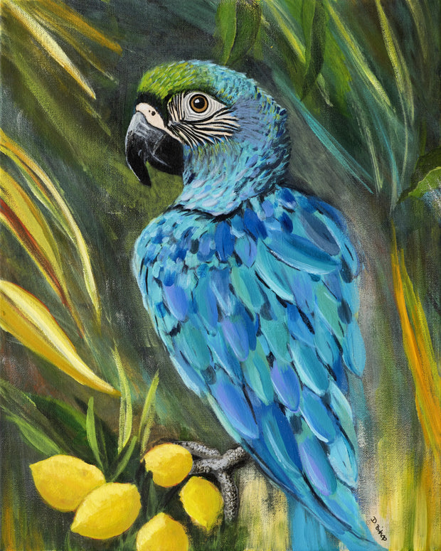 Macaw Parrot Original