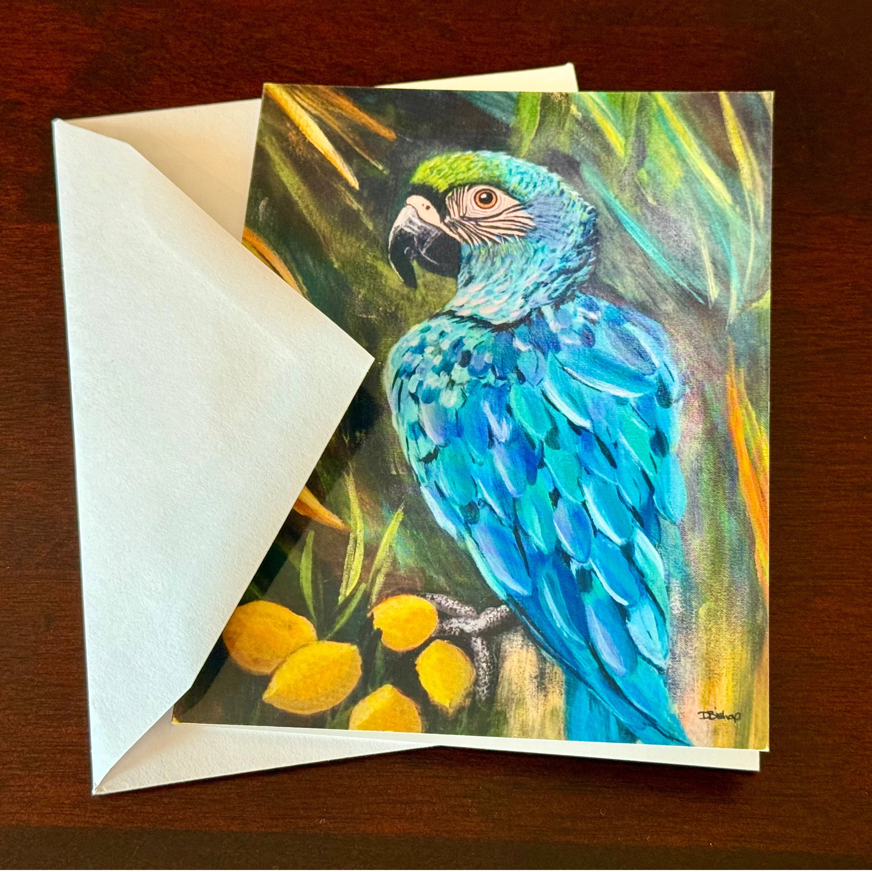 Macaw Parrot Merchandise