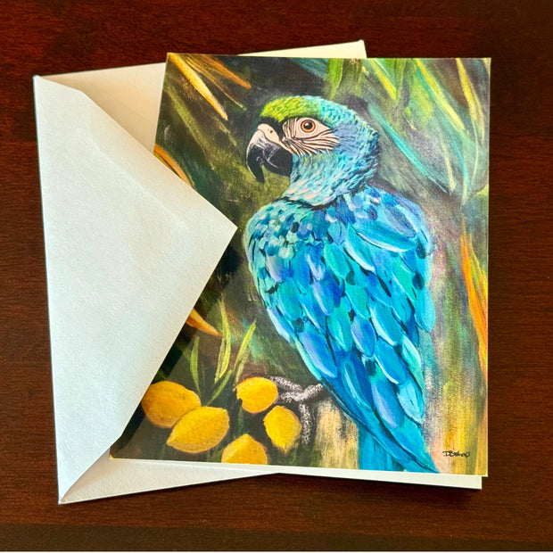 Macaw Parrot Merchandise