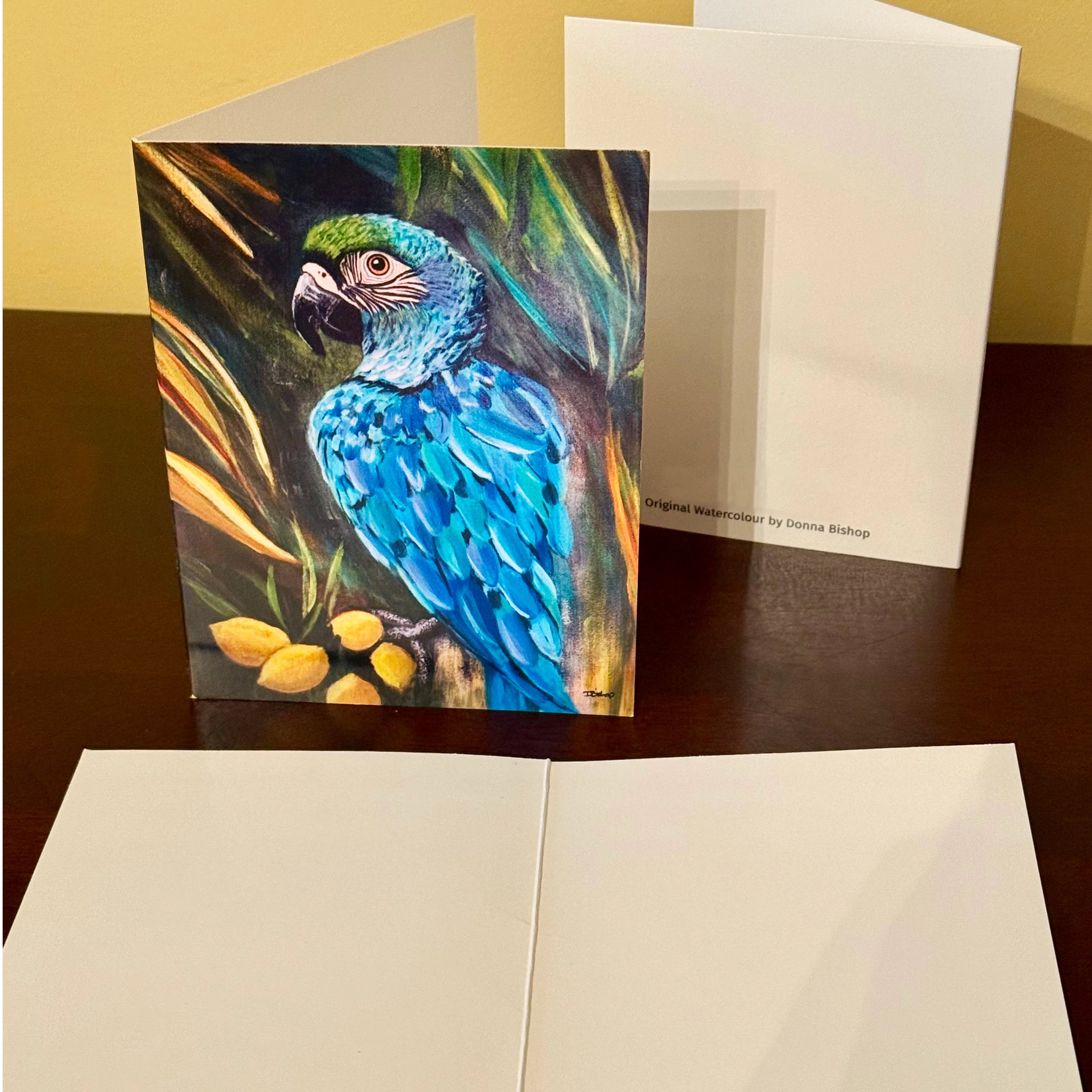 Macaw Parrot Merchandise