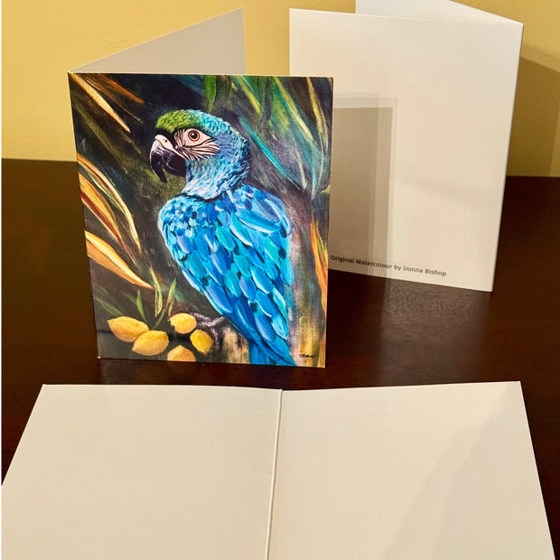 Macaw Parrot Merchandise