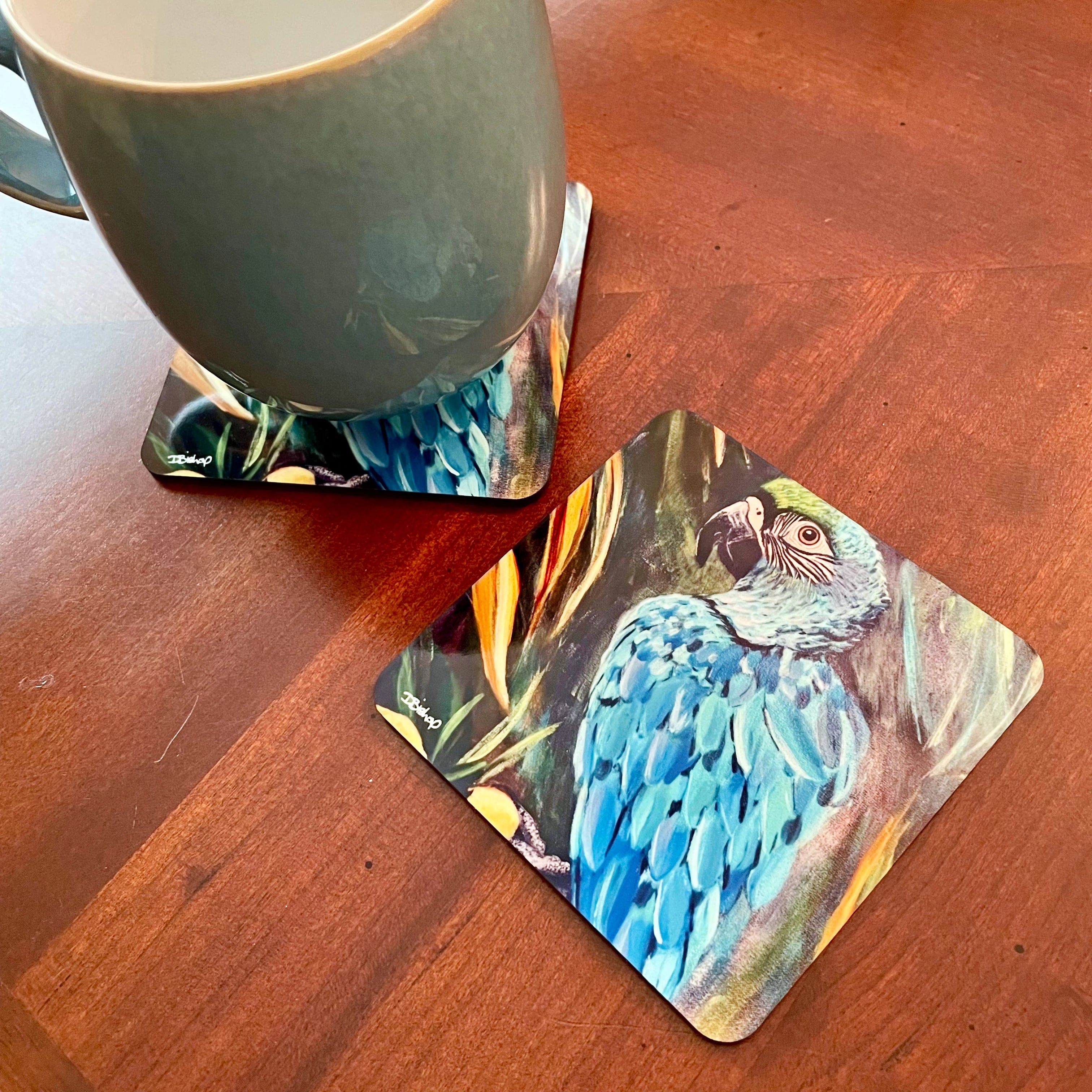 Macaw Parrot Merchandise