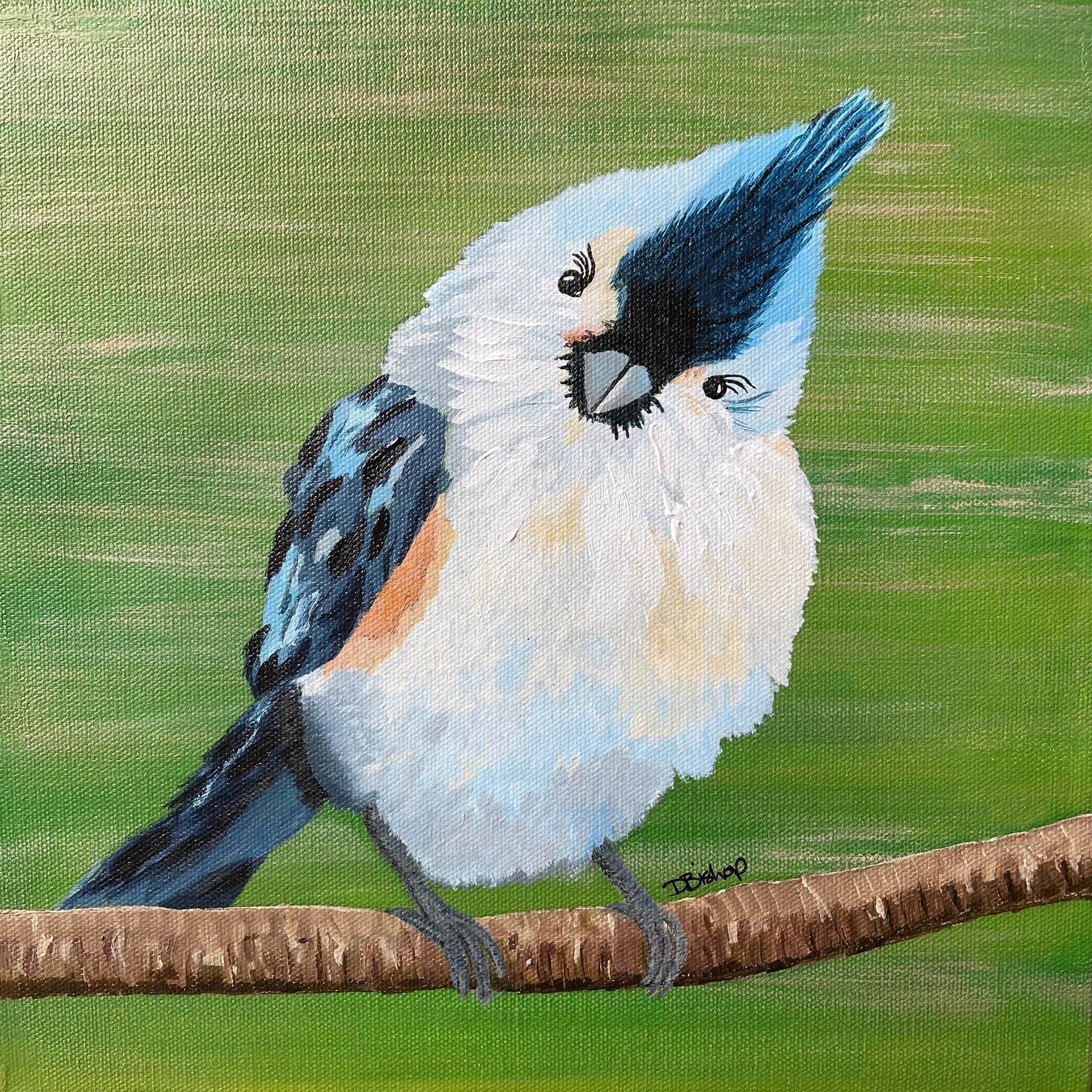 Blue Titmouse Print