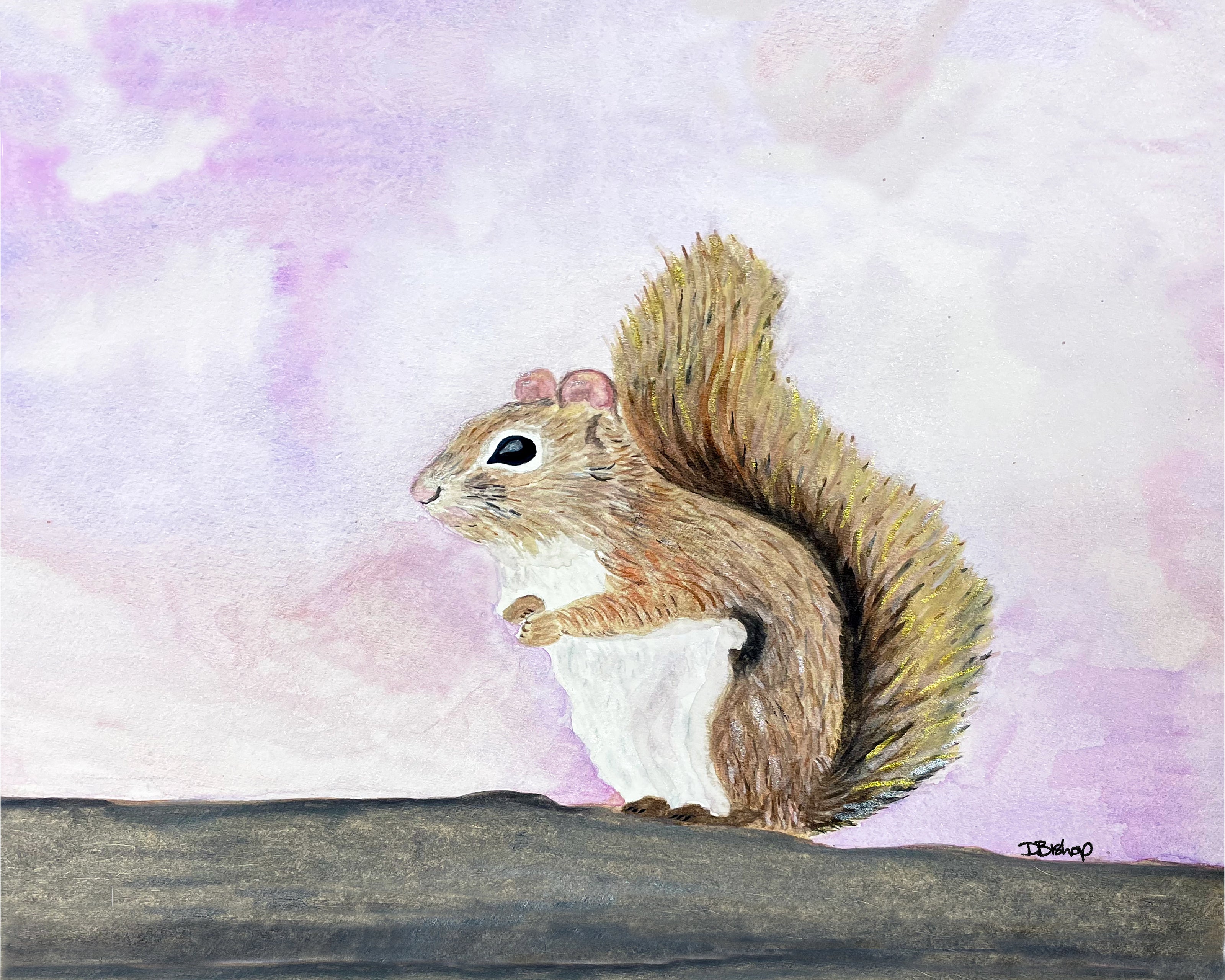 Squirrel Original Painting