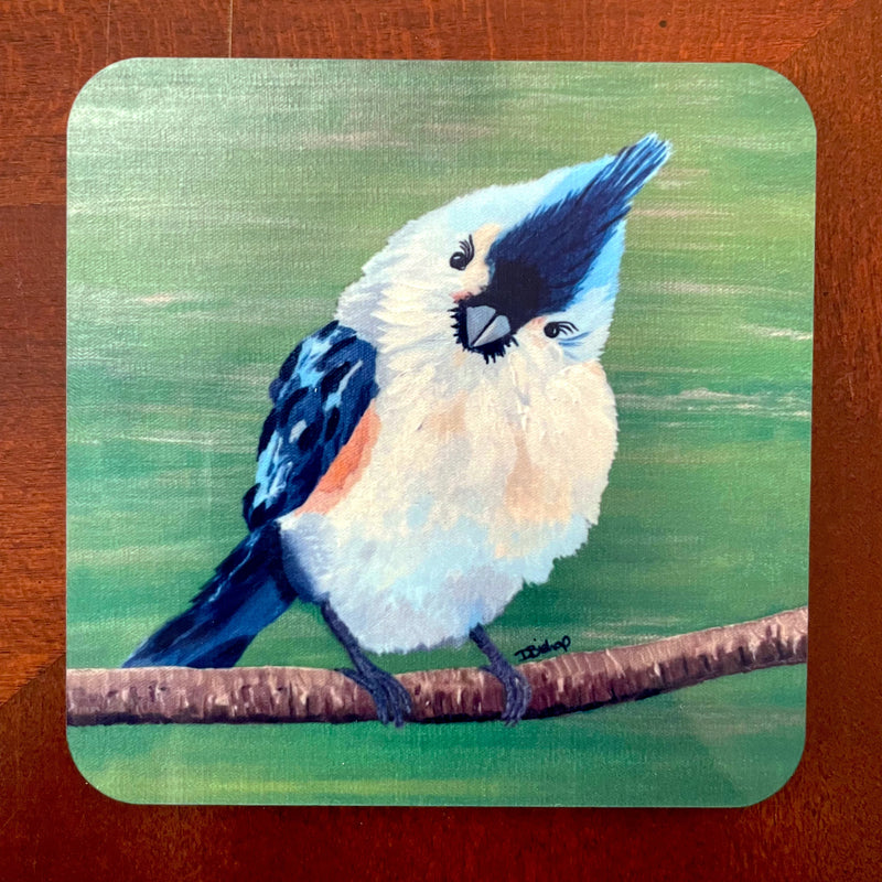 Blue Titmouse Merchandise